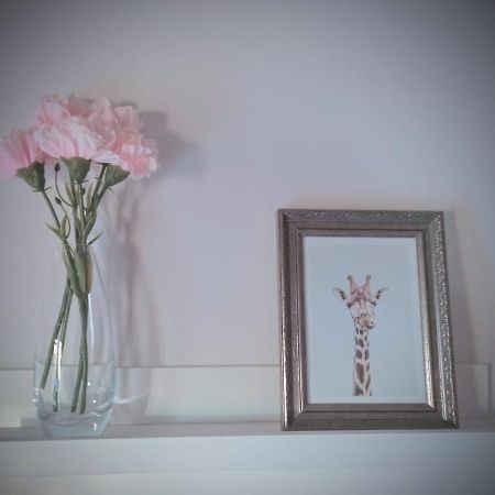 Moneda 46 Apartment เกว็งกา ภายนอก รูปภาพ